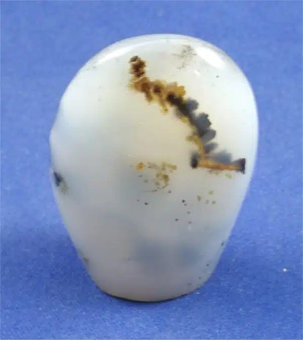 Dendritic Agate Freedform 5