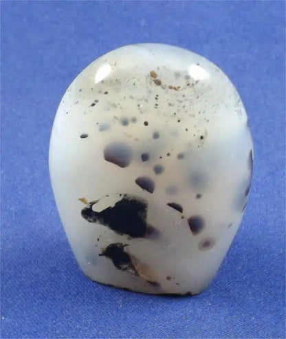 Dendritic Agate Freedform 5