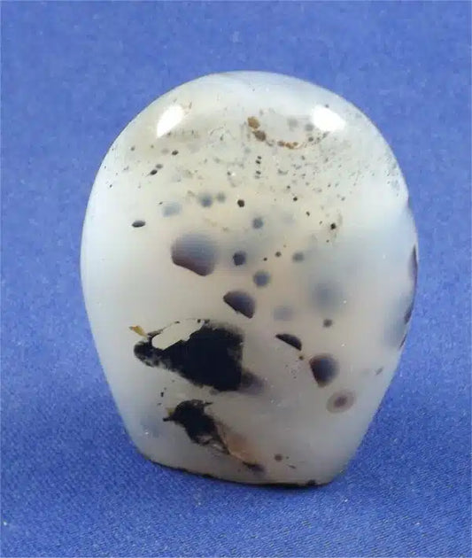 Dendritic Agate Freedform 5