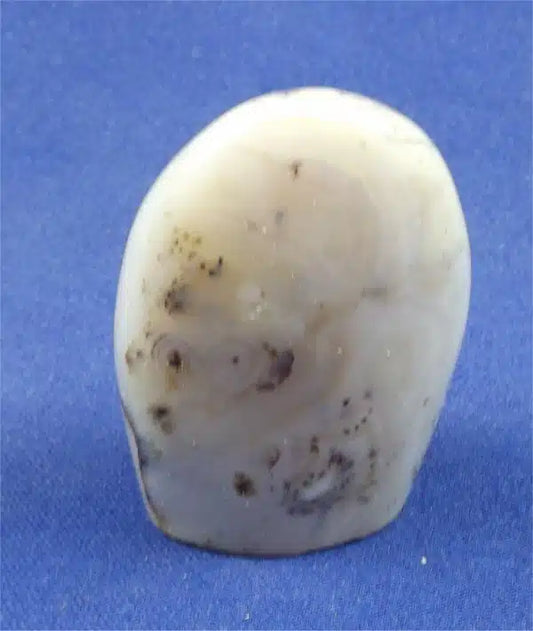 Dendritic Agate Freedform 6