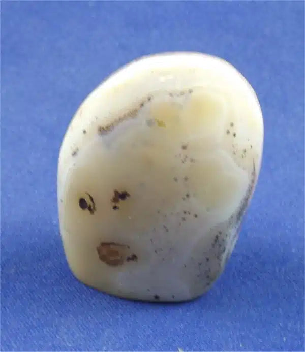 Dendritic Agate Freedform 7