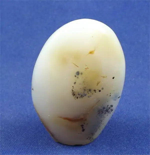 Dendritic Agate Freedform 8