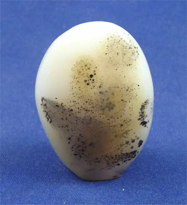 Dendritic Agate Freedform 8
