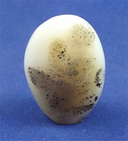 Dendritic Agate Freedform 8