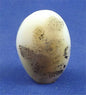 Dendritic Agate Freedform 8