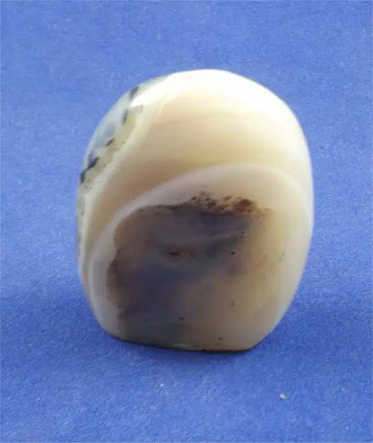 Dendritic Agate Freedform 9