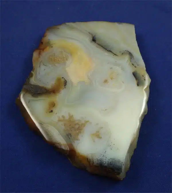 Dendritic Agate Slab 1
