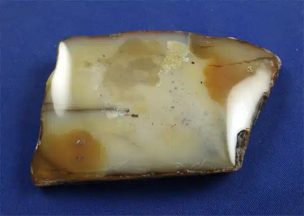 Dendritic Agate Slab 5