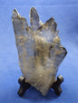 Smoky Quartz Epitaxial