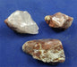 Fire Amphibole Tumbled Stones Large