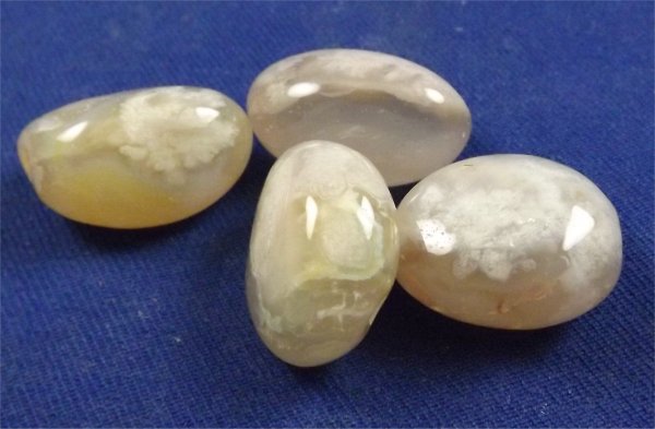 Flower Agate Tumbled Stones Small