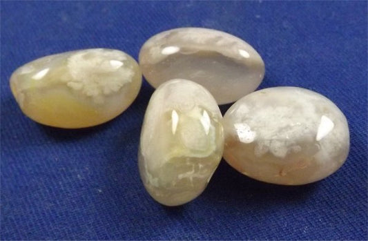 Flower Agate Tumbled Stones Small