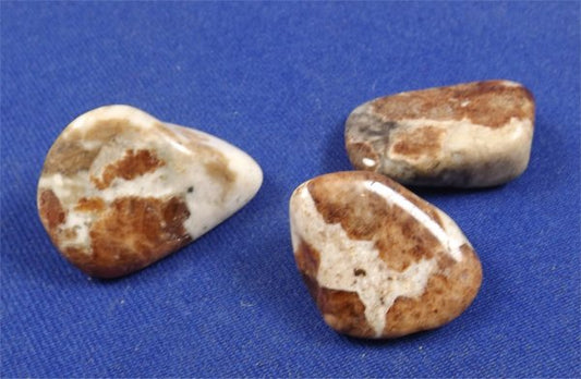 Hessonite Garnet In Wollastonite Tumbled Stones