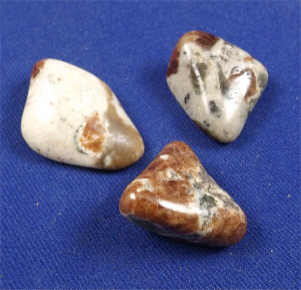 Hessonite Garnet In Wollastonite Tumbled Stones