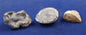 Mini Oco Agate Geodes