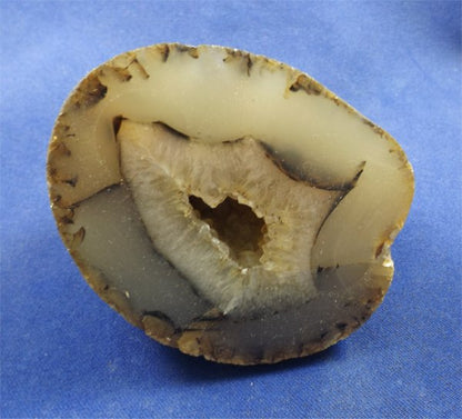 Montana Agate 1