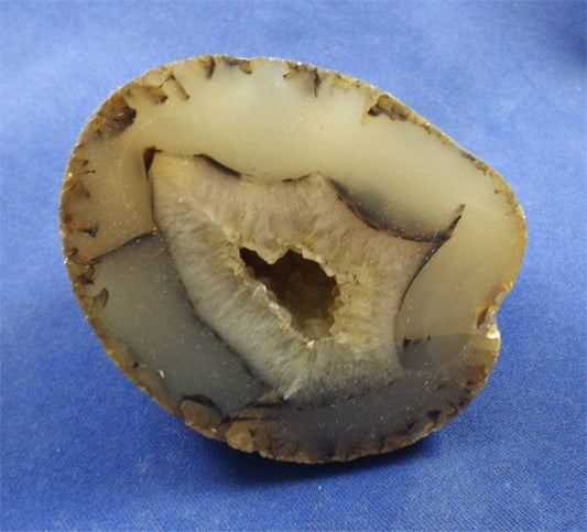 Montana Agate 1