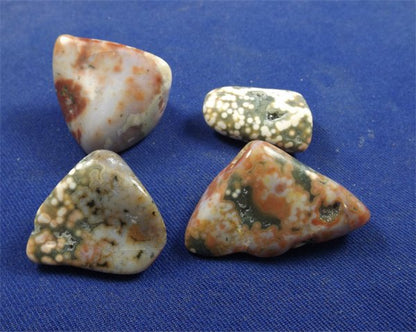 Ocean Jasper Tumbled Stones Large