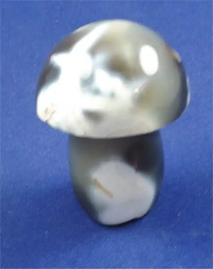 Orca Agate Mushroom