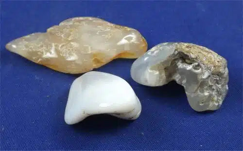 Oregon Agate Tumbled Stones Large