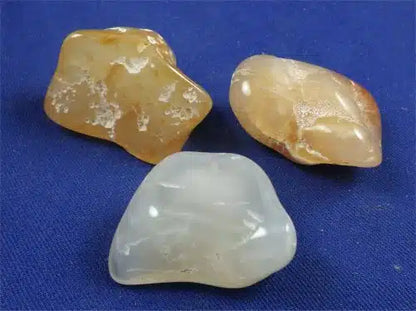 Oregon Agate Tumbled Stones Large