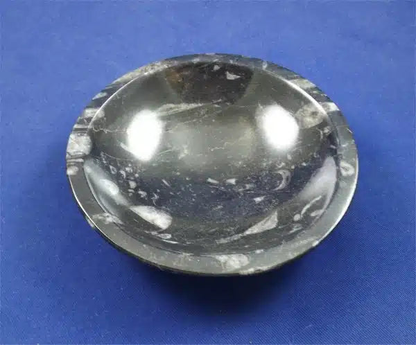 Orthoceras Bowl 3