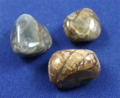 Panther Jasper Tumbled Stones