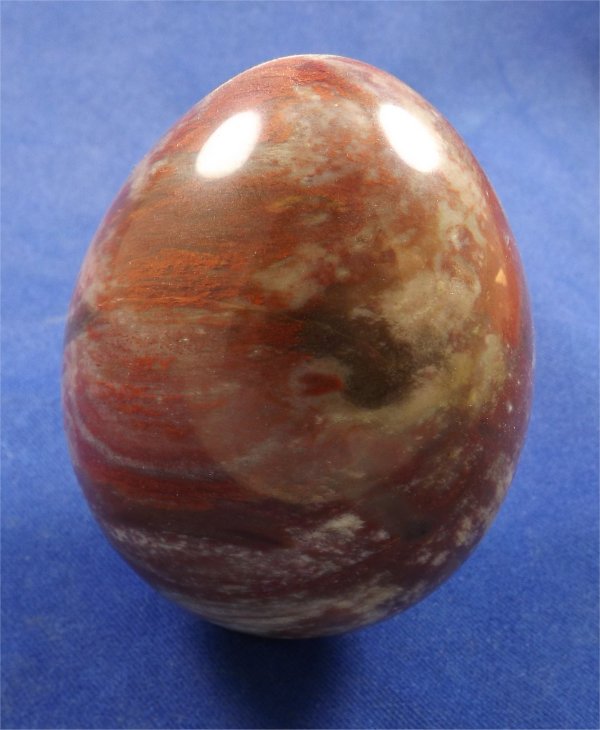 Petrified Wood Egg