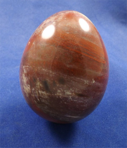 Petrified Wood Egg