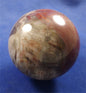Petrified Wood Sphere