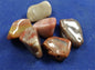 Petrified Wood Tumbled Stones