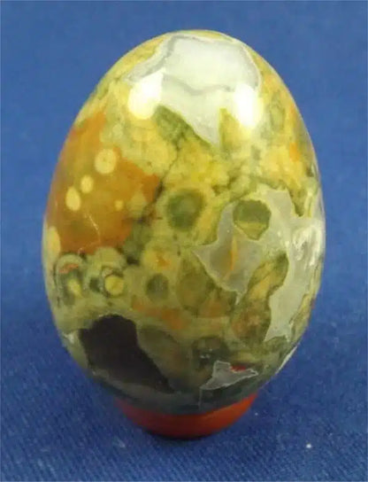 Rain forest Jasper Egg 1