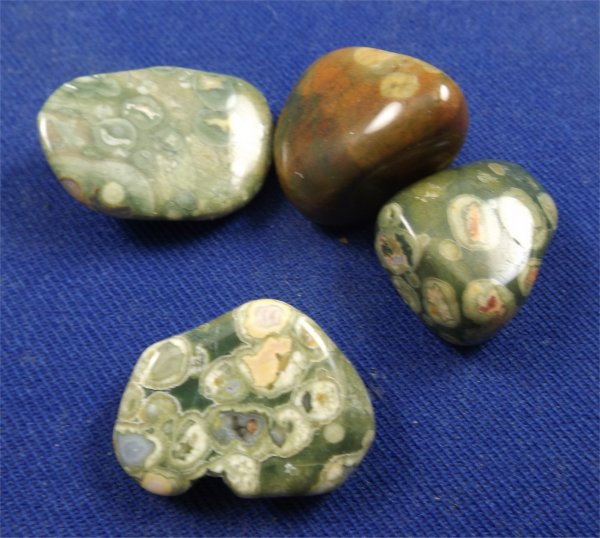 Rainforest Jasper Tumbled Stones