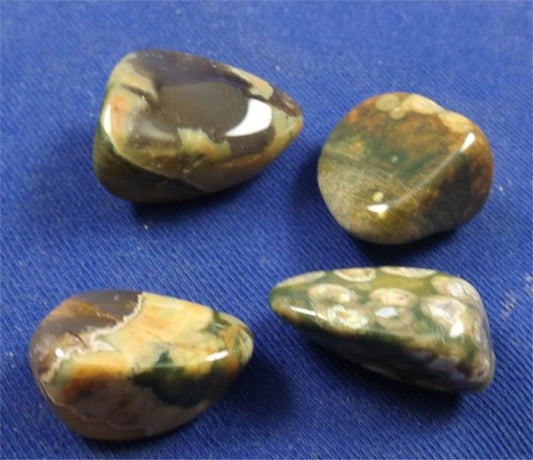 Rainforest Jasper Tumbled Stones