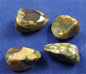 Rainforest Jasper Tumbled Stones
