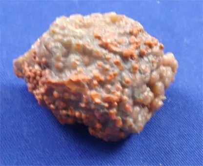 Red Grape Agate 1