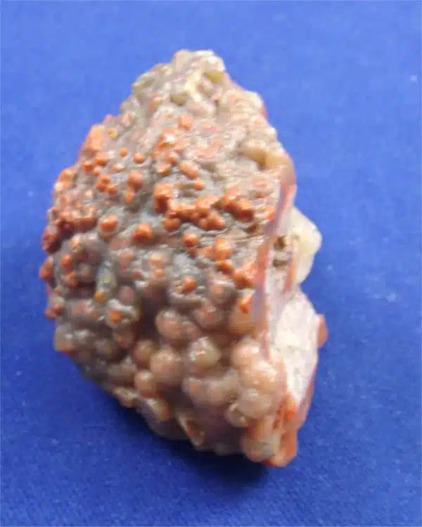 Red Grape Agate 1