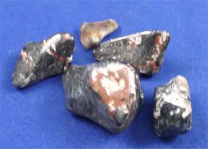 Red Palm Wood Tumbled Stones