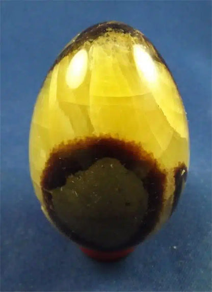 Septarian Egg 1