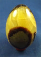 Septarian Egg 1