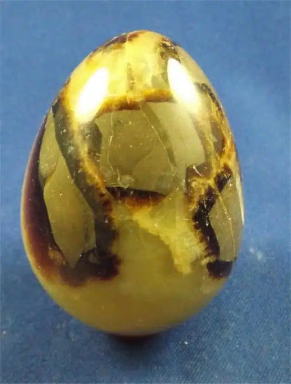 Septarian Egg 2