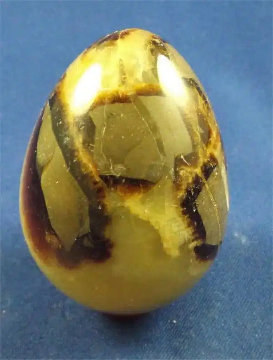 Septarian Egg 2