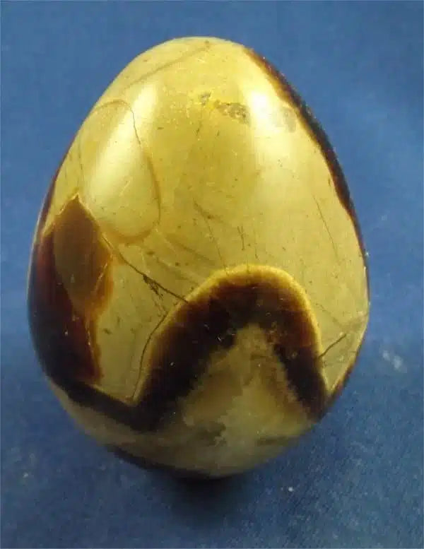 Septarian Egg 3