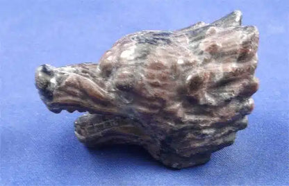 Mahogany Obsidan Wolf Head Skull