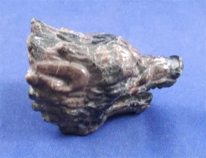 Mahogany Obsidan Wolf Head Skull