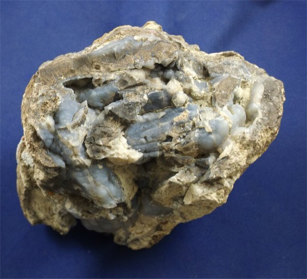 Petrified Wood Log With Chalcedony - Crystals By Rob