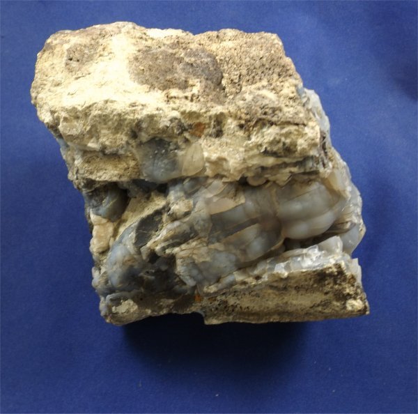 Petrified Wood Log With Chalcedony - Crystals By Rob